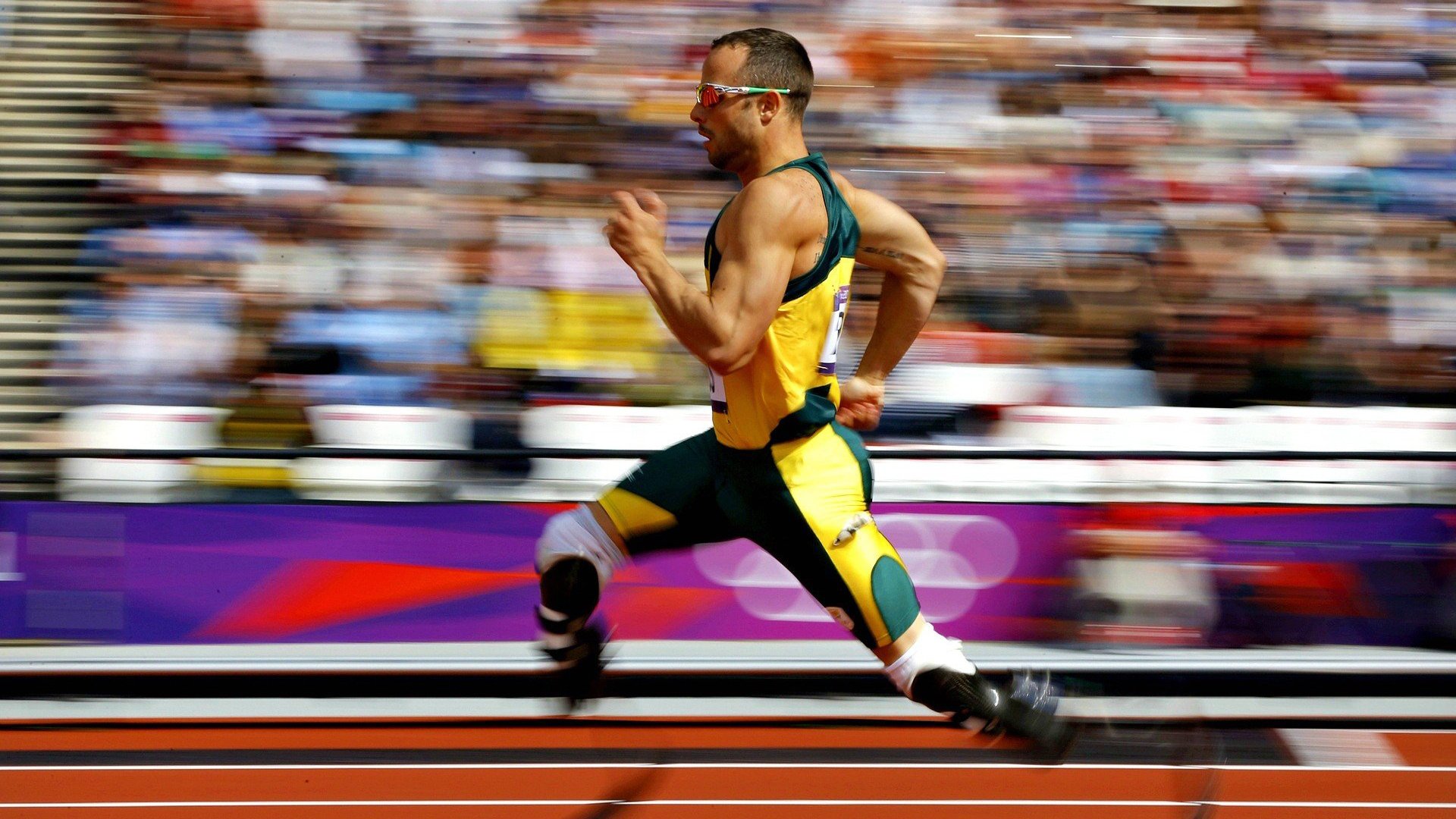 裁判员职业保护条例为执法人员提供更好保障，裁判员执法的原则